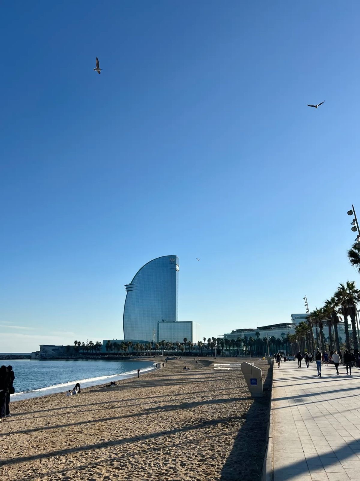 La Barceloneta beach
