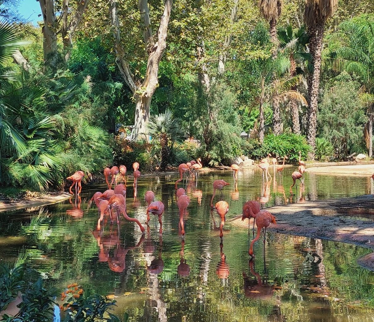 Barcelona Zoo