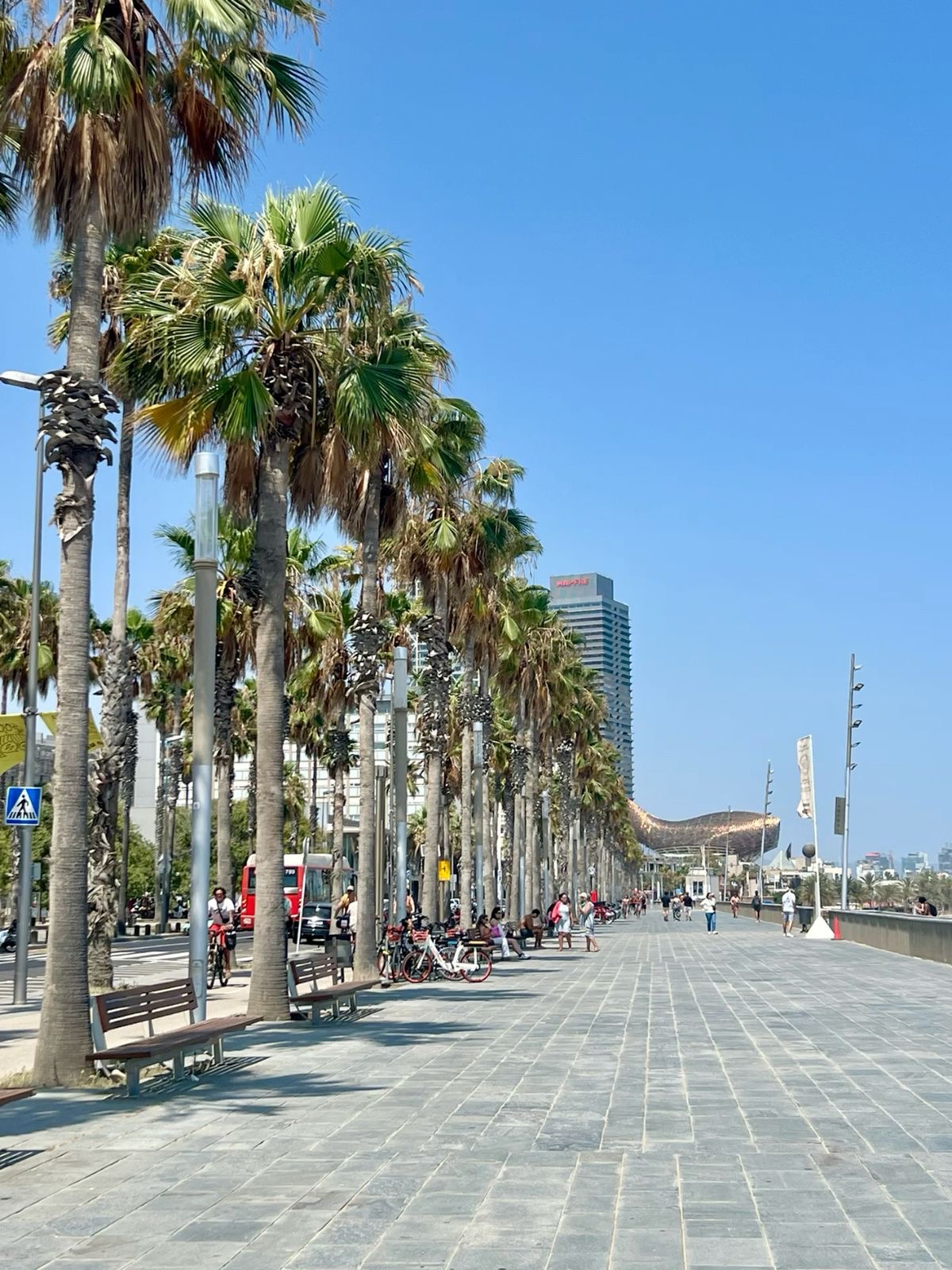 La Barceloneta